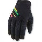 Dakine Covert Gloves Rasta