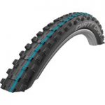 Schwalbe Dirty Dan 29 inch Folding/ADDIX/LS/TLR Tyre
