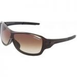 Tifosi Rumor Sunglasses Brown